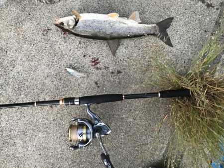 出張フィッシング